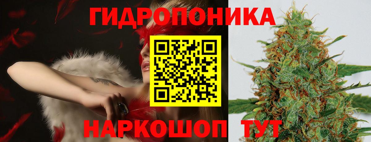Конопля индика  Марихуана конопля  Вход с VPN  Конопля White Widow  Каннабис Bruce Banner  Удомля 